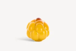 Berry Tales bärnsten, EEÅ AC-21