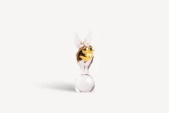 Golden Angel, KE AC-21