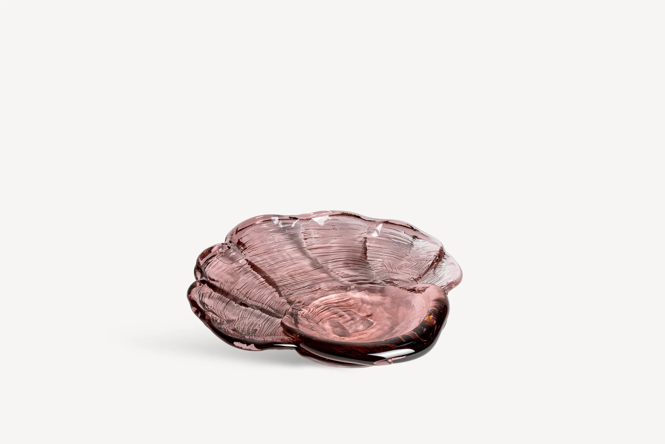 Venusmussla ÅJ AC-21